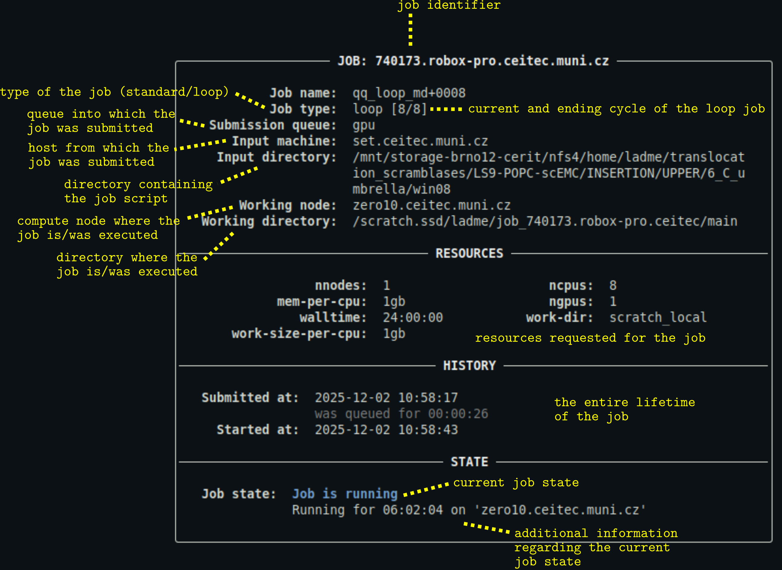 Example and a description of qq info output